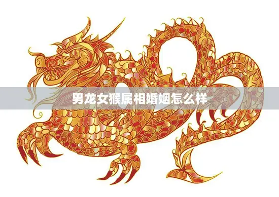 男龙女猴属相婚姻怎么样(解析相性、优缺点、婚姻建议)