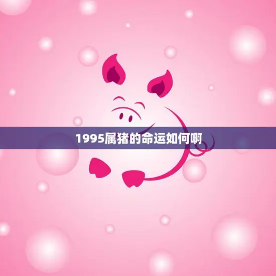 1995属猪的命运如何啊(探寻猪年宝宝的运势与发展趋势)