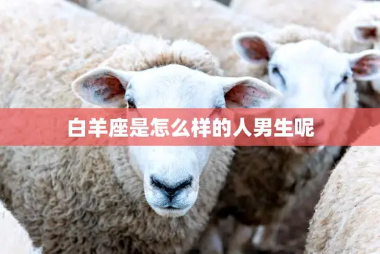 白羊座是怎么样的人男生呢(性格特点解析)