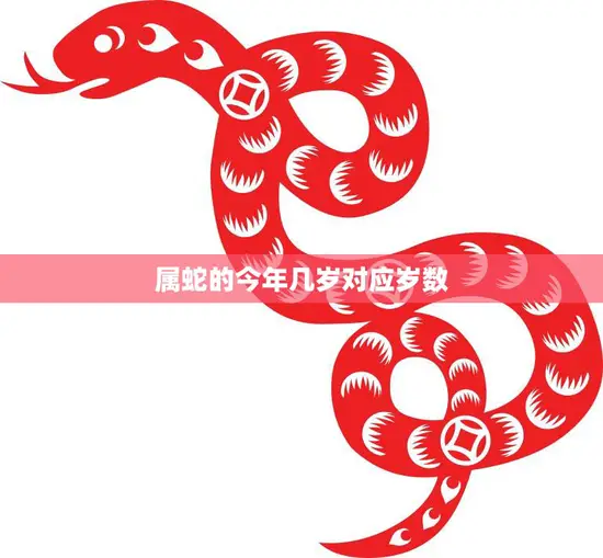 属蛇的今年几岁对应岁数(详解蛇年生肖人如何计算年龄)