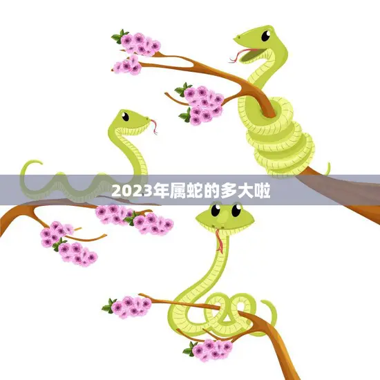 2023年属蛇的多大啦(蛇年宝宝们即将迎来自己的本命年)