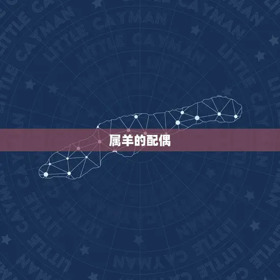 属羊的婚配表十二生肖(如何选择配偶)