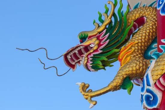 属龙人的感情运势和财运(如何把握机会)