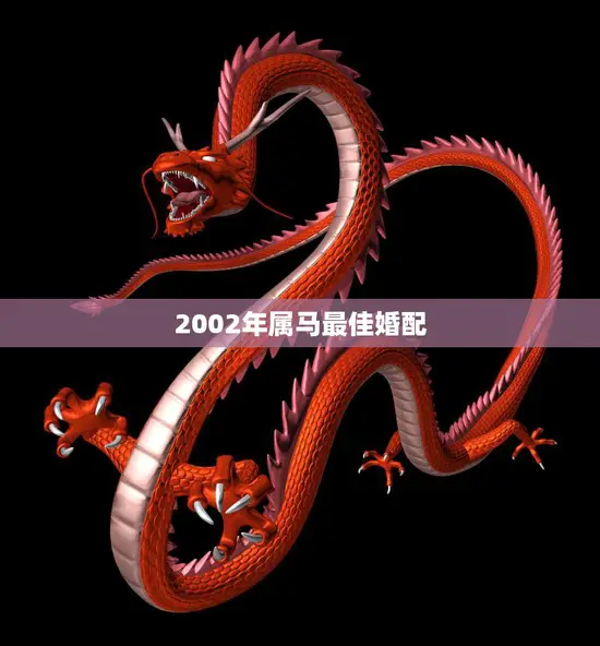 2002年属马最佳婚配(马龙与蛇婚姻)