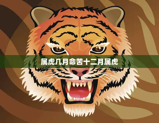 属虎几月命苦十二月属虎(如何化解命运的厄运)