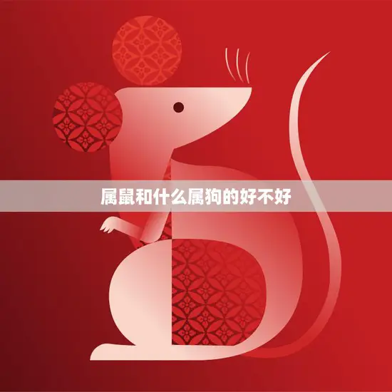 属鼠和什么属狗的好不好(如何选择最佳配对)