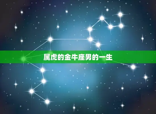 属虎的金牛座男的一生(命运多舛坚韧不拔的人生之路)