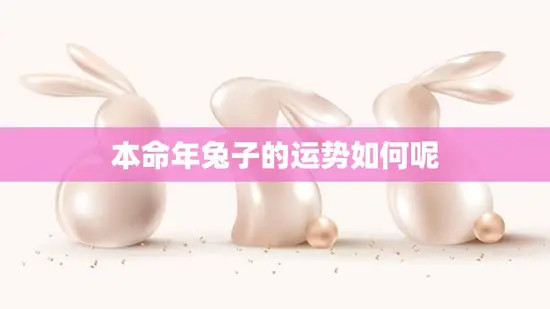 本命年兔子的运势如何呢(2023年兔子本命年运势大揭秘)