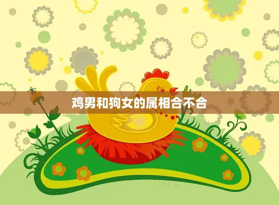 鸡男和狗女的属相合不合(你们的爱情路上会有多少坎坷)