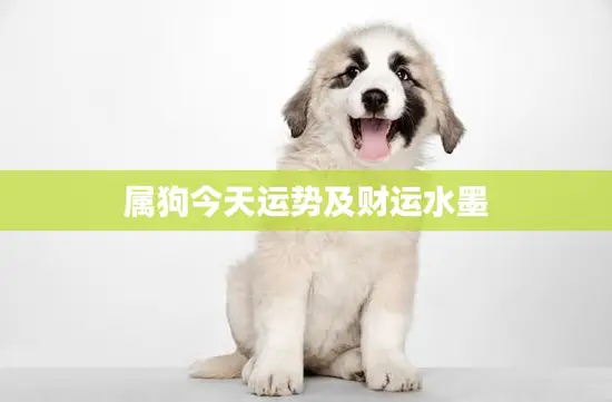 属狗今天运势及财运水墨(解析运势佳财运亨通)