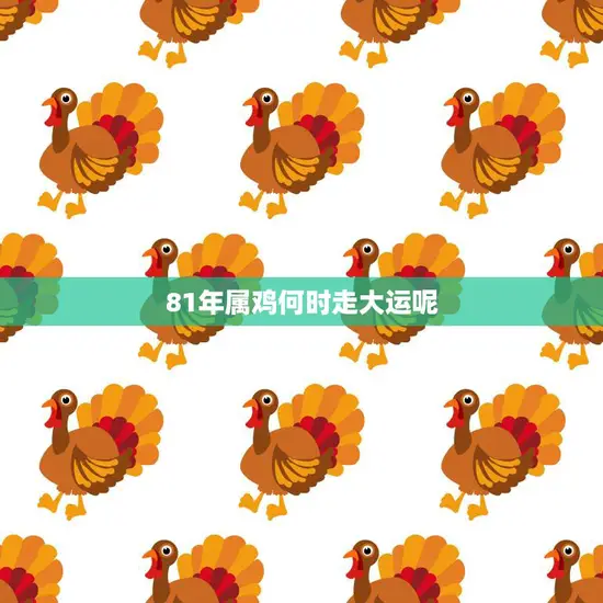 81年属鸡何时走大运呢(解析属鸡人的运势走向)