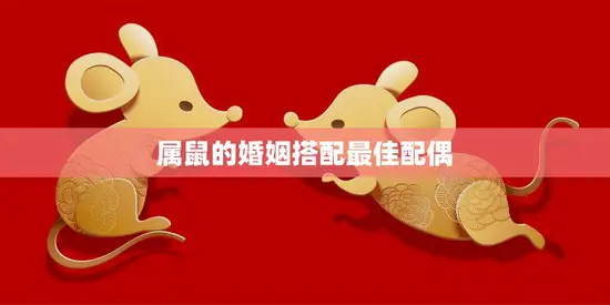 属鼠的婚姻搭配最佳配偶(如何选择最适合的伴侣)