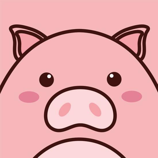 71年属猪2023运势(猪年大吉财运亨通)