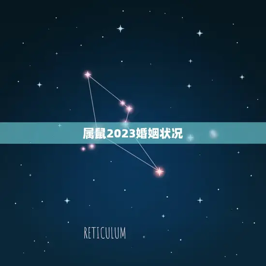 属鼠2023婚姻状况(幸福婚姻指南顺利迎接婚姻大事)