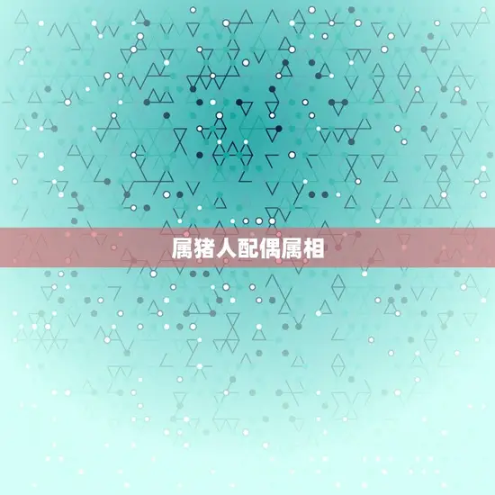 属猪人的婚配属相(如何选择配偶)