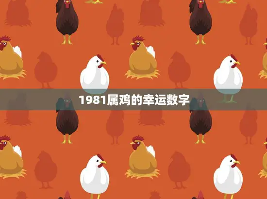 1981属鸡的幸运数字(揭秘为你带来好运的数字是什么)