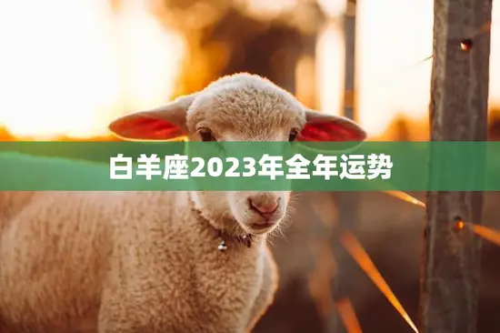 白羊座2023年全年运势(独领的幸运之年)