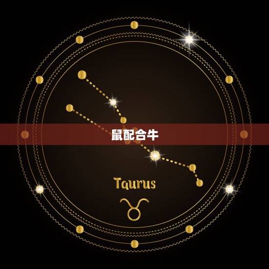 十二生肖相配合的生肖(如何搭配)