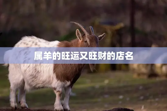 属羊的旺运又旺财的店名(如何选择)