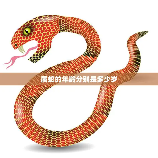 属蛇的年龄分别是多少岁(你知道吗)
