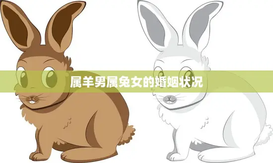 属羊男属兔女的婚姻状况(幸福的秘诀)