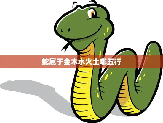 蛇属于金木水火土哪五行(解析蛇的五行属性)