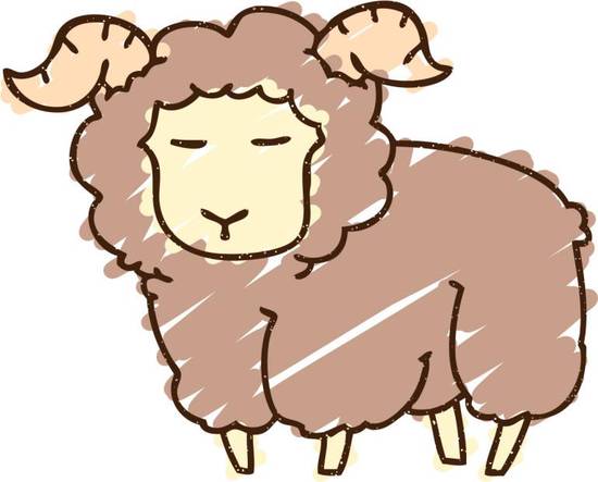 属羊的五十左右今年多大了(如何判断属羊人的年龄)