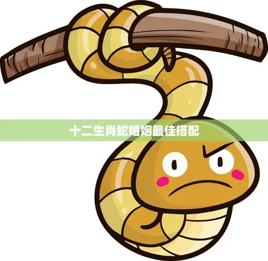十二生肖蛇婚姻最佳搭配(揭秘与哪些生肖最配)