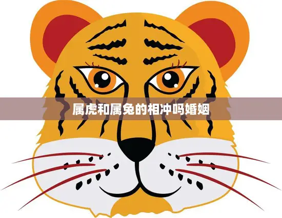 属虎和属兔的相冲吗婚姻(如何化解冲突)