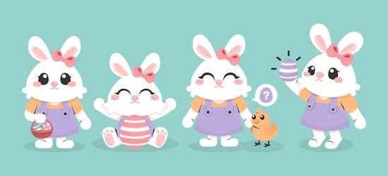 属兔今天财运在什么方位(财富方位揭秘)