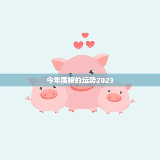 今年属猪的运势2023(猪年大吉财运亨通)