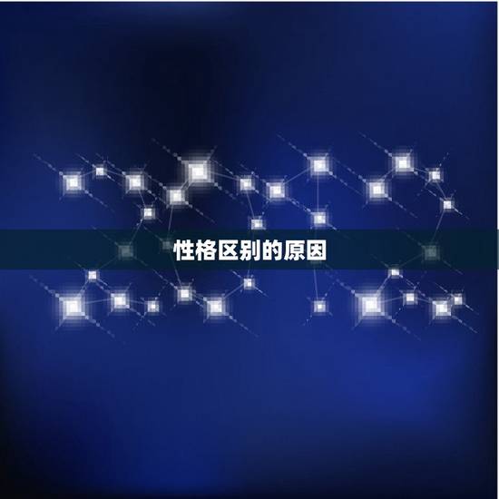 属鼠属龙在一起好不好(如何让两个性格迥异的人相处融洽)