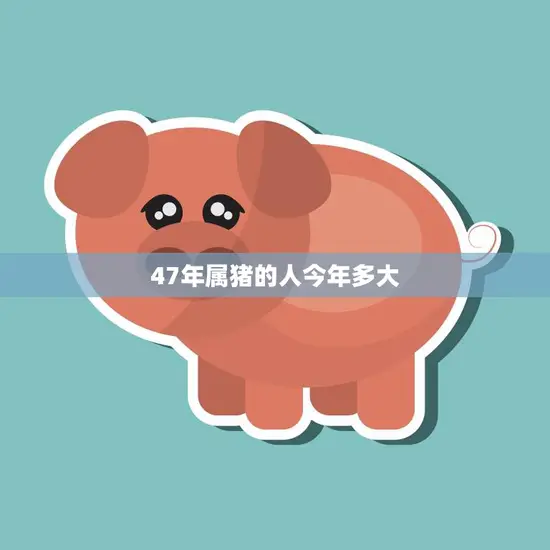 47年属猪的人今年多大(猪年大幸运猪宝宝们迎来人生转折点)