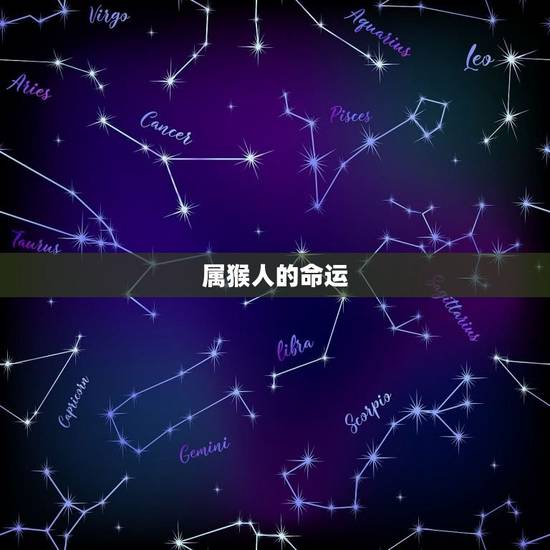 属猴的人都是哪年生的(介绍属猴人的命运与性格特点)