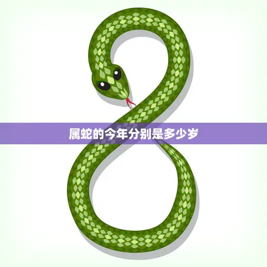 属蛇的今年分别是多少岁(2023年属蛇人的年龄计算方法)