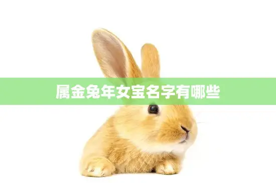 属金兔年女宝名字有哪些(最新推荐)