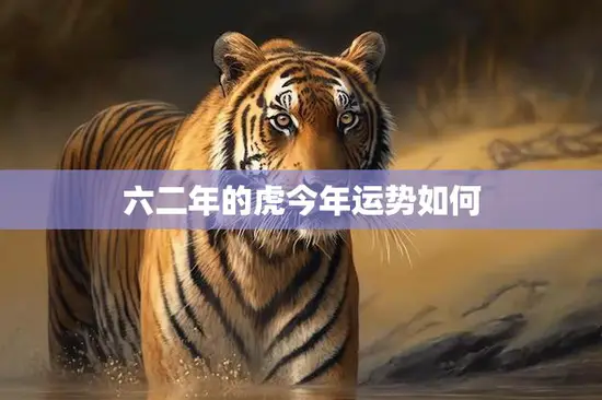 六二年的虎今年运势如何(解析2023年虎年运势)
