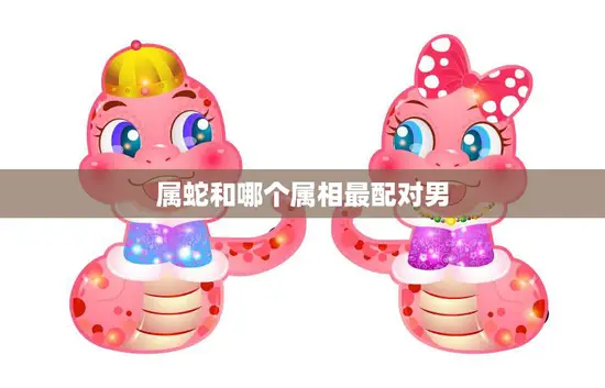 属蛇和哪个属相最配对男(寻找最佳配对)