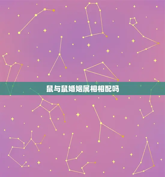 鼠与鼠婚姻属相相配吗(两只老鼠能否成为一对)