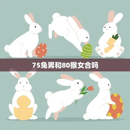 75兔男和80猴女合吗(星座配对大揭秘)