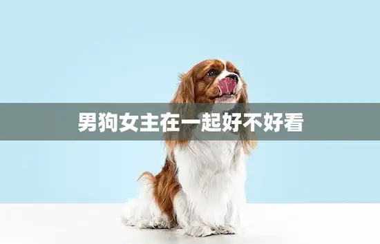 男狗女主在一起好不好看(探讨爱情是否应该受外貌限制)