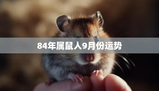 84年属鼠人9月份运势(事业顺遂财运亨通)