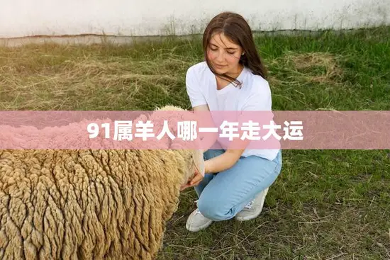 91属羊人哪一年走大运(如何抓住机遇迎接好运)