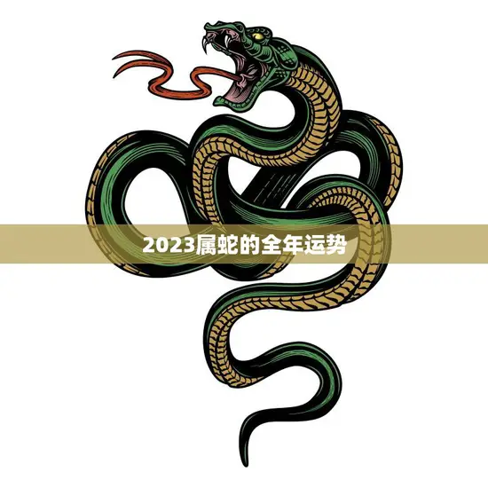 2023属蛇的全年运势(财运亨通事业顺利感情甜蜜)