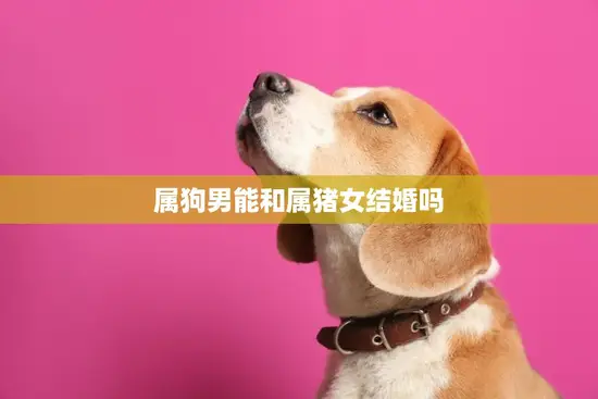 属狗男能和属猪女结婚吗(星座配对分析)