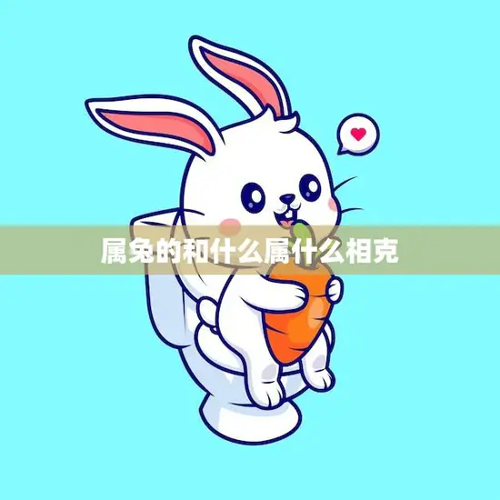 属兔的和什么属什么相克(兔子人要小心这些生肖)