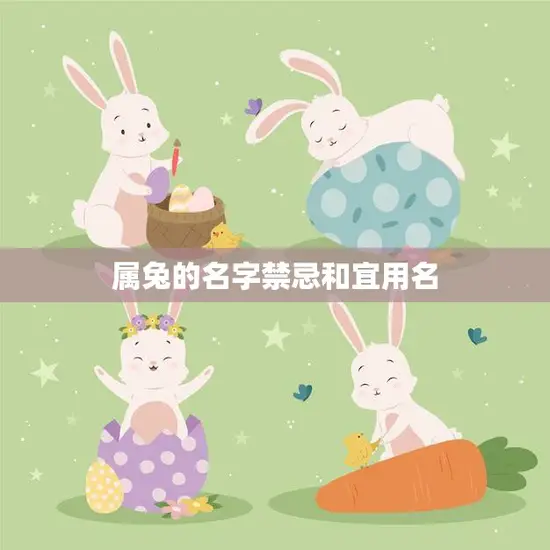 属兔的名字禁忌和宜用名(如何给兔子宝宝取名)