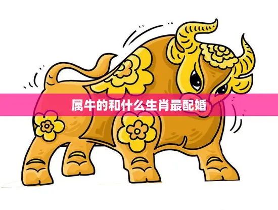 属牛的和什么生肖最配婚(最佳配对指南)