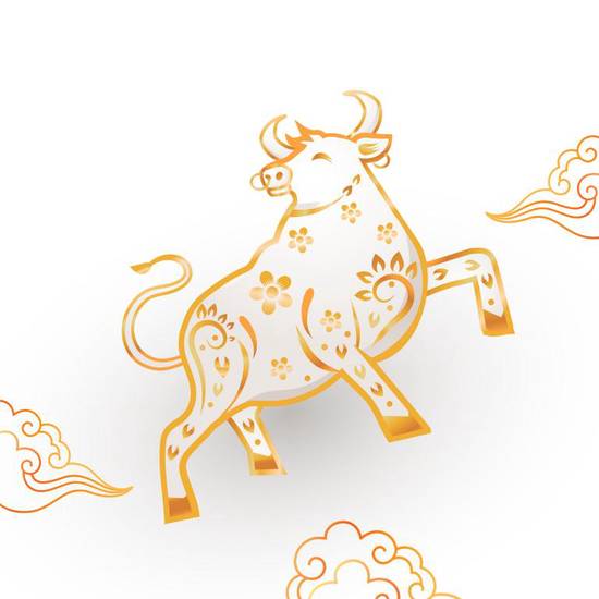 金牛座女孩喜欢什么礼物(最佳选择)