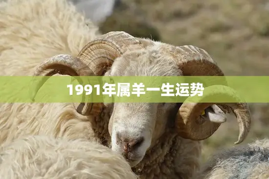 1991年属羊一生运势(命运多变需谨慎抉择)